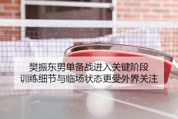 樊振东男单备战进入关键阶段 训练细节与临场状态更受外界关注